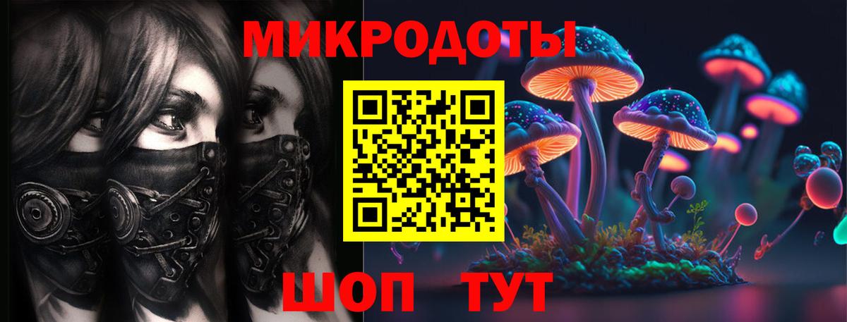 Галлюциногенные грибы ЛСД  Вход с VPN  где купить наркоту  Псилоцибиновые грибы Psilocybine cubensis  Кизилюрт 