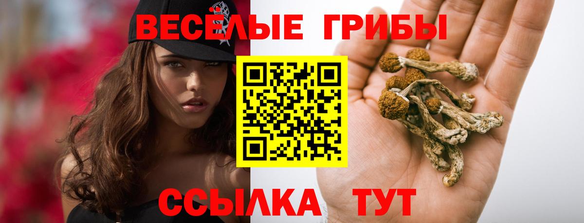 Псилоцибиновые грибы GOLDEN TEACHER Кизилюрт